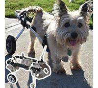 All-Terrain - Sedia a rotelle per cani, regolabile, per cani di piccola e piccola taglia, carrello di supporto per artrite, strumenti per la camminata