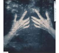 All The Birds And A Telephone Ringing