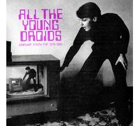 Various Artists All the Young Droids: Junkshop Synth Pop 1978-1985 (Vinyl LP)
