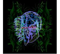 All Them Witches Nothing As the Ideal (Vinyl LP)