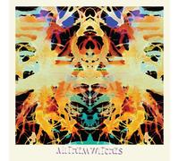 All Them Witches Sleeping Through the War (Vinyl LP)