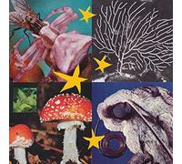 Various Artists All Things Considered Vol.2 (Vinyl LP)