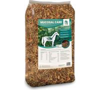 ALL-WIN Horse Mucosal Care - 15 kg