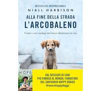 ALLA FINE DELLA STRADA L'ARCOBALENO - HARBISON NIALL - Vallardi A.