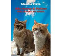 Alla ricerca di Matisse. Per aspera ad astra