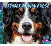 Allan Morey Bernese Mountain Dogs (Copertina rigida) Big Dogs