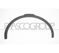Parafanghino Anteriore Sinistro-Nero Goffrato-Con Foro Pdc Land Rover Discovery