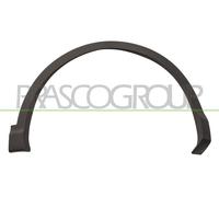 Allargamento Parafango Prasco DS7121581 per Nissan