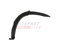 Listello decorativo Frontale d. veicolo FASFT90917 FAST