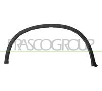 Parafanghino Posteriore Sinistro Per Bmw X6 - E71 Dal 2008 Al 2014
