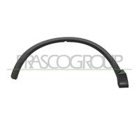 Parafanghino Anteriore Sinistro Per Audi Q3 (8u) 2011-2014 Lato Sinistro