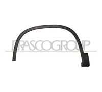 Parafanghino Anteriore Sinistro Per Volkswagen Tiguan 2007-2011 Lato Sinistro