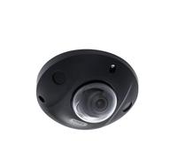 Allarme ent ABUS IPCB44611A IP Kugeldome 4MPx