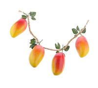 Allayu Manghi artificiali 4 pezzi, vivaci vetrine per alimenti non tossici, giocattolo per bambini, vetrina per l'apprendimento della prima infanzia, giocattolo educativo per bambini, cibo artificiale