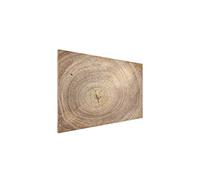 ALLboards Bacheca magnetica in metallo per ogni tipo di magnete, bacheca magnetica da scrivere + 2 pennarelli, 6 magneti e spugna inclusi nella confezione, motivo: alberi, 90 x 60 cm