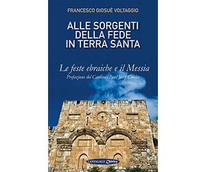 Alle sorgenti della fede in Terrasanta. Le feste ebraiche e il Messia (Vol. 1)