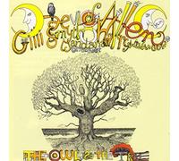 Allen, Daevid & Mother Gong - Owl In The Tree