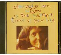 Allen,Daevid - Now Is Happiest Time of Y.Life