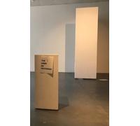 Allen Frost Flop (Copertina rigida)