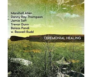 Allen M., Saft J., Rudd R., Pandi B. C. - Ceremonial Healing
