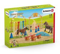 Allenamento di abilità per pony