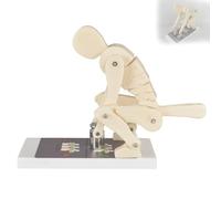 Allenatore della colonna lombare, dimostrazione interattiva di sollevamento pesi umano con base per l'educazione biomeccanica all'anatomia