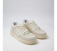 Allenatori Z80 LOW Beige 36