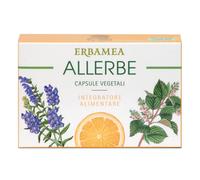 Allerbe 24 capsule vegetali blister