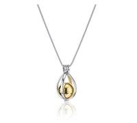 AllerPierce Collana da urna commemorativa in acciaio inox, con ciondolo a forma di goccia d'acqua, con ciondolo per ceneri e capelli, regalo commemorativo