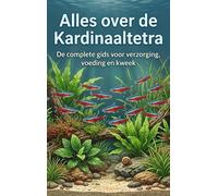 Alles over de Kardinaaltetra: De complete gids voor verzorging, voeding en kweek