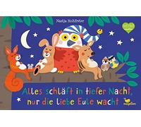 Alles schläft in tiefer Nacht, nur die liebe Eule wacht