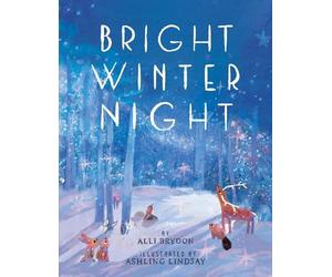 Alli Brydon Bright Winter Night (Copertina rigida)