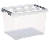 Allibert Curver Scatola portaoggetti con cop 40 x 29 x 25 cm Trasparente/Argento