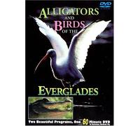 Alligators & Birds of the Everglades