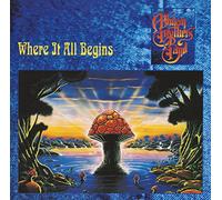 ALLMAN BROTHERS BAND - WHERE IT ALL BEGINS