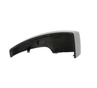 Alloggiamento Copertura Specchietto SX (Zum Vernice) Adatta: Ford Ecosport, Ku