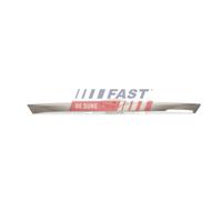 Alloggiamento Luce Targa Fast FT00393 per Ford