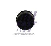 Alloggiamento olio FT94748 FAST per PEUGEOT MINI FORD CITROËN FIAT