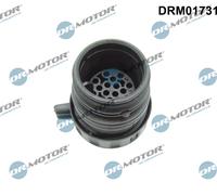 Alloggiamento presa, Cambio automatico-Centralina per AUDI BMW 1 3 5 6 7 A4 A5 Q