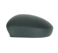 Alloggiamento, specchietto retrovisore esterno BLIC 6103-01-1311527P sinistro