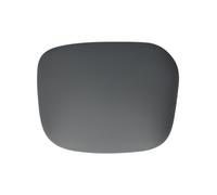 Alloggiamento, specchietto retrovisore esterno BLIC 6103-01-1321972P sinistro