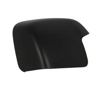 Alloggiamento, specchietto retrovisore esterno BLIC 6103-01-1323284P sinistro