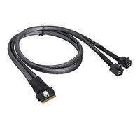 Allowish Mini SlimSAS SFF-8654 8i 4.0 to 4 Ports SAS SFF-8643 Server Connection Cable (1m,Black)