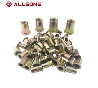 ALLSOME 300 pz M3 M4 M5 M6 M8 M10 Testa Rivetto Dadi Set Dadi Inserto Reveting Multi Formato Rivetto Dadi Collocazione con SCATOLA HT2599