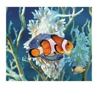 Allsop 3D Marine Multicolore