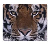 Allsop Naturesmart Nero, Arancione, Giallo