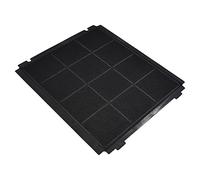 AllSpares - Filtro a carbone per Airforce / AFFCA238