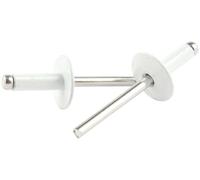 AllStar Professionale Lg Hd Rivetto Bianco Alluminio 250pk