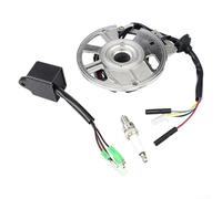 Allthingstore Bobina di accensione per statore Magneto, compatibile con D8EA DR8EA D7EA D8TC DPR8EA-9, 125Cc-250cc Monocilindrico Fuoristrada Motore Scooter Parte