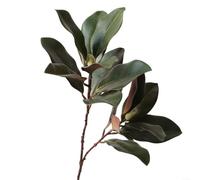 Allthingstore Rami realistici simulati di magnolia con steli flessibili e texture naturale delle foglie, progettati per decorare la casa per creare bellissime composizioni floreali e composizioni
